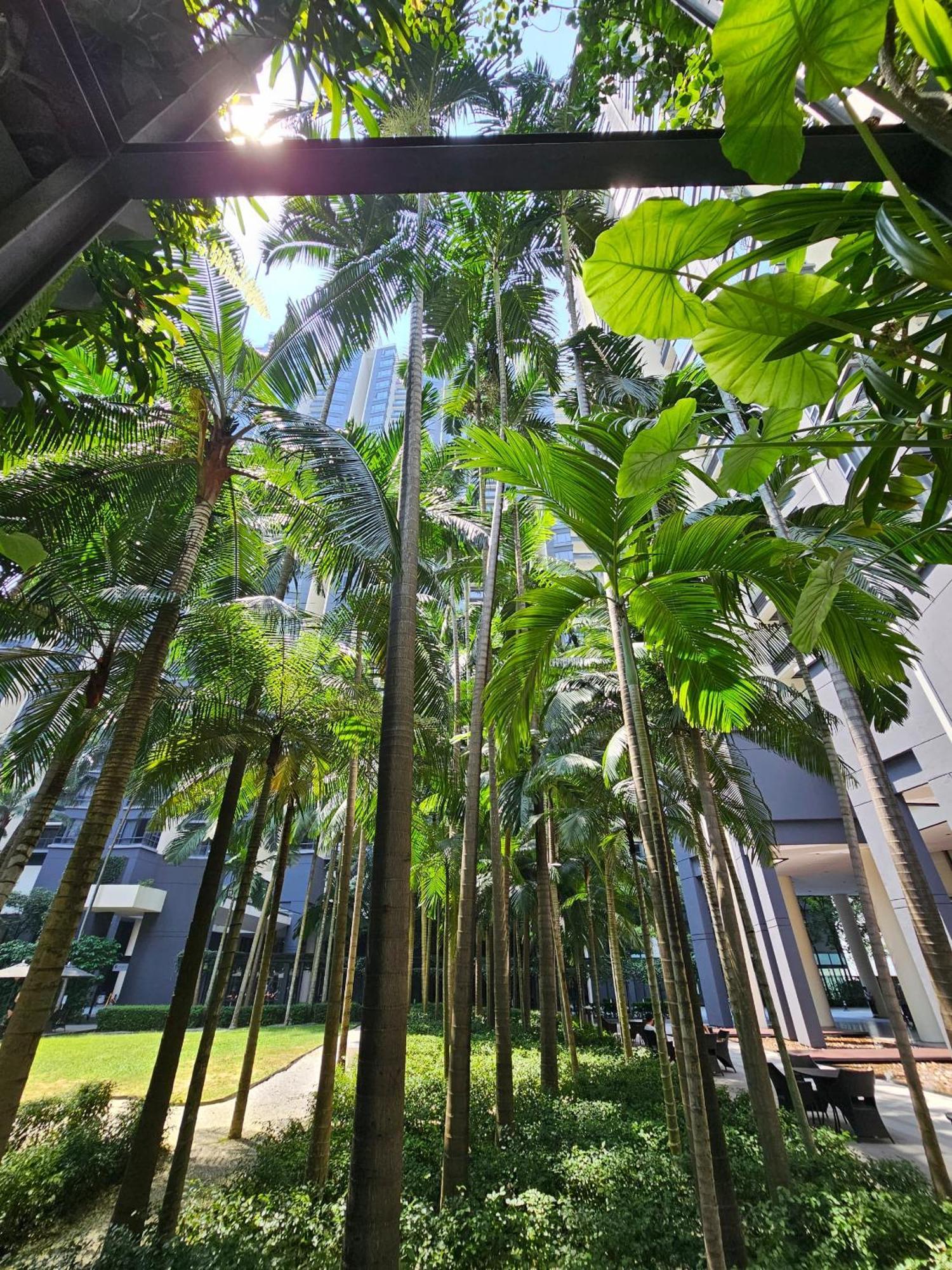 Cosy At Kl Centre Apartment *