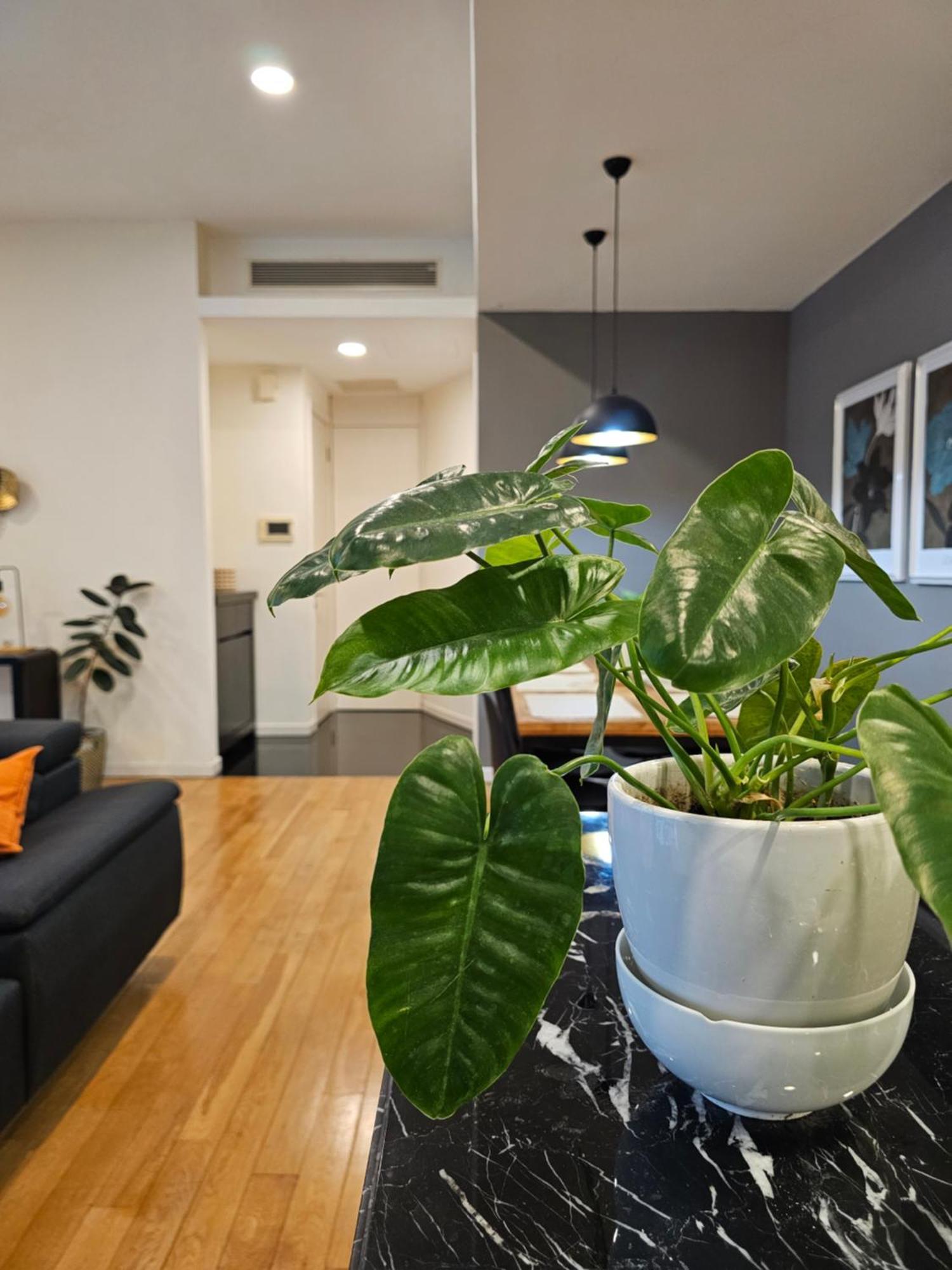 Cosy At Kl Centre Apartment